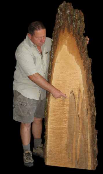 Image of Don Bastian Explaining Wood Choice