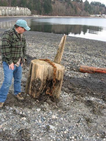 Don Bastian on the beach looking at driftwood piece